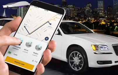 limousine software