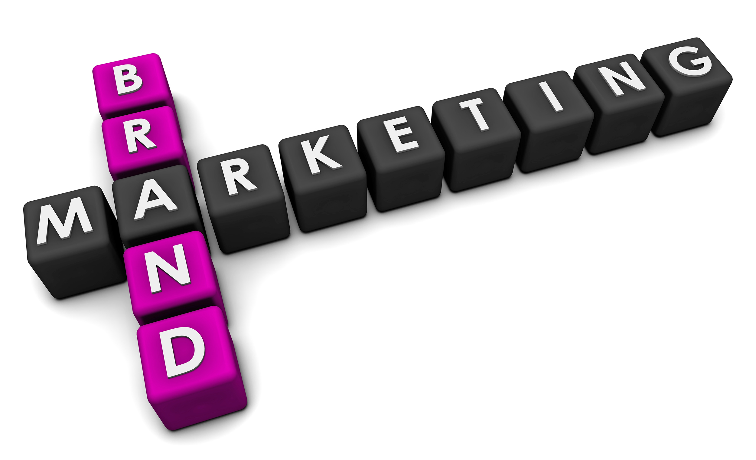 Limousine Business Branding